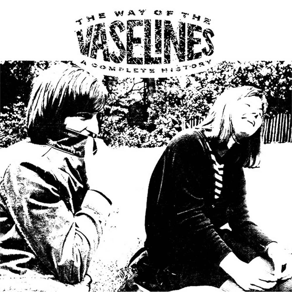 The Way Of The Vaselines - A Complete History (Vinyl)