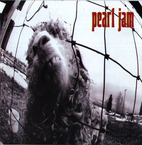 Pearl Jam - Vs. (CD) USADO