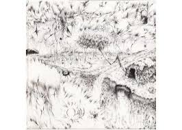 FULGOR - FULGOR (USB )