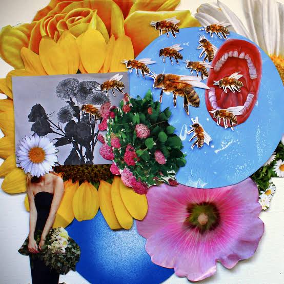 Honey Pot! - Apicultura para principiantes (CD)