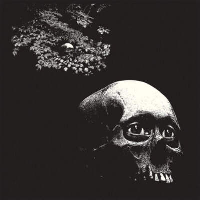 The Osees – A Foul Form (Vinyl)