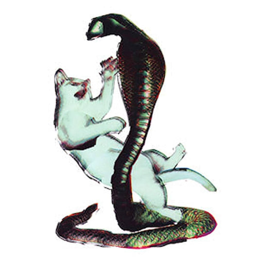 Les Savy Fav - The Cat and The Cobra (CD) USADO