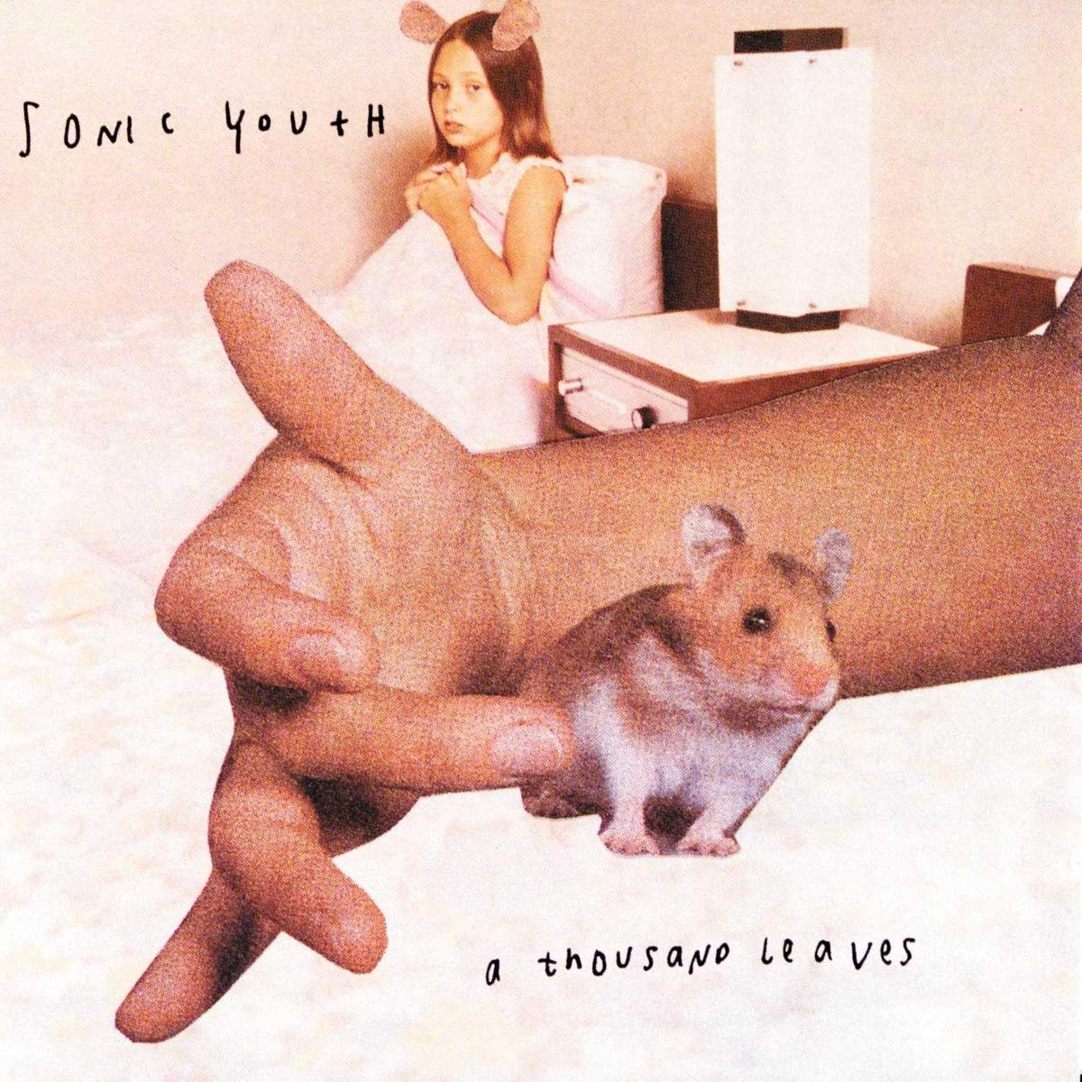 Sonic Youth – A Thousand Leaves (Vinyl)