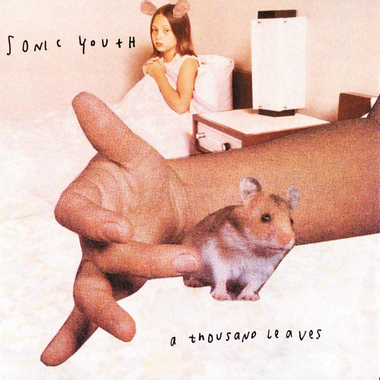 Sonic Youth – A Thousand Leaves (Vinyl)