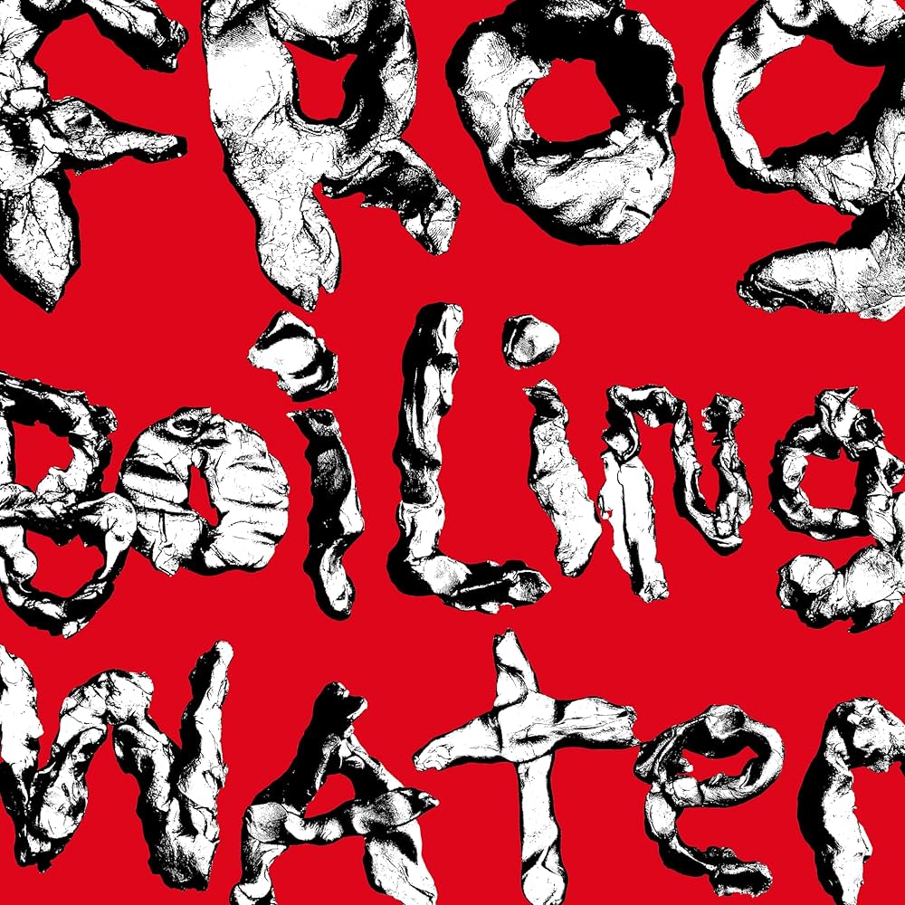 DIIV - Frog In Boiling Water (Vinyl)