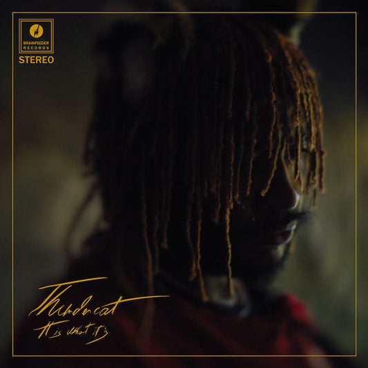 Thundercat – It Is What It Is RED VINYL (Vinyl)