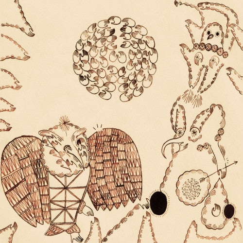 Devendra Banhart - Rejoicing In The Hands (CD)