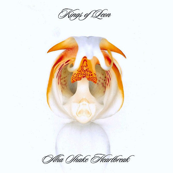 Kings Of Leon - Aha Shake Heartbreak CD (USADO)