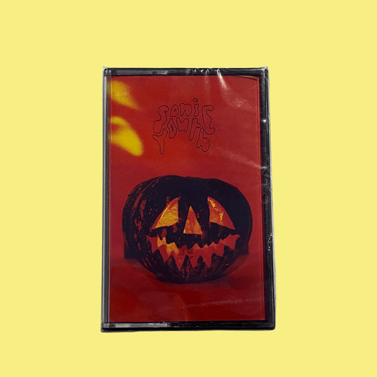 The Sonic Youth Sound Experience - Walls Have Ears (Cassette)