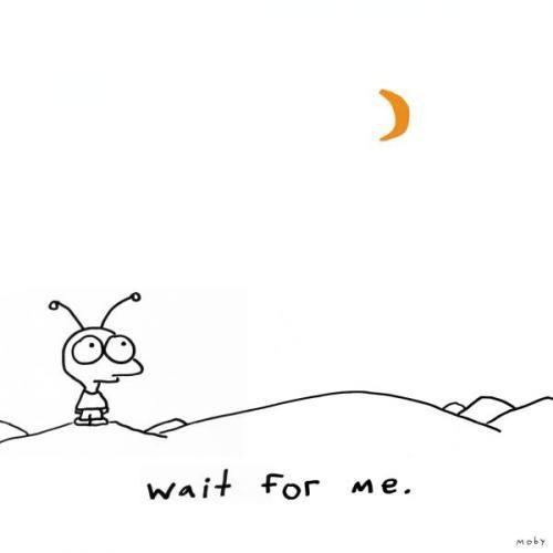 Moby – Wait For Me (CD) USADO