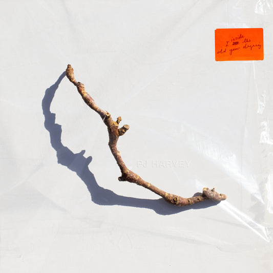 PJ Harvey  - I Inside The Old Year Dying (Vinyl)