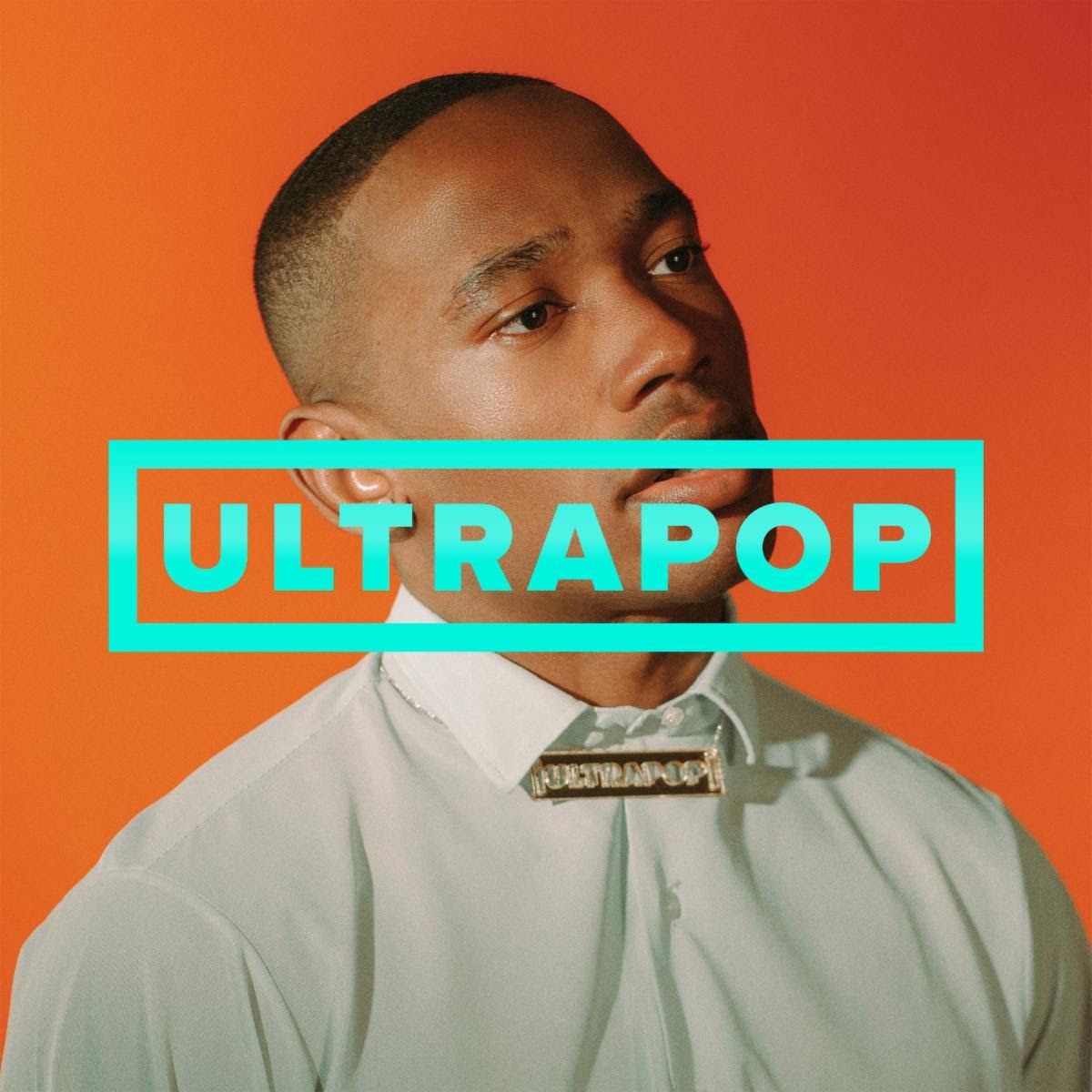 The Armed - Ultrapop (Vinyl)