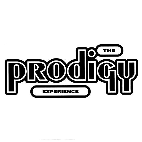 The Prodigy - Experience (Vinyl)