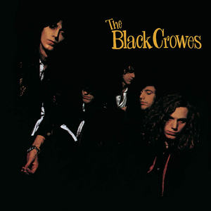 THE BLACK CROWS - SHAKE YOUR MONEY MAKER (CD)