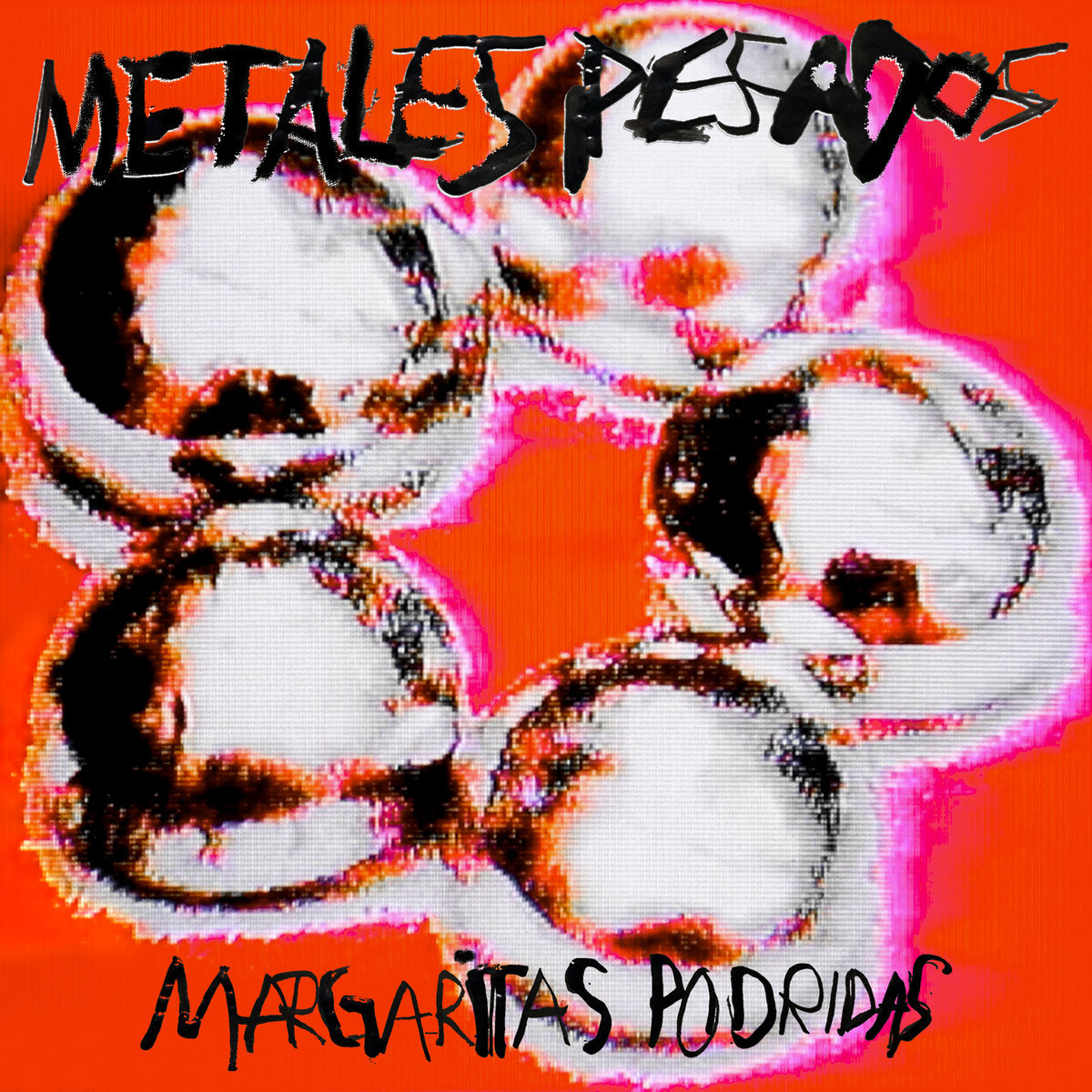 MARGARITAS PODRIDAS- METALES PESADOS CD