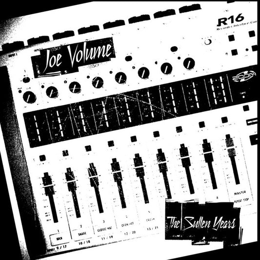 Joe Volume - The Sullen Years (Vinyl)