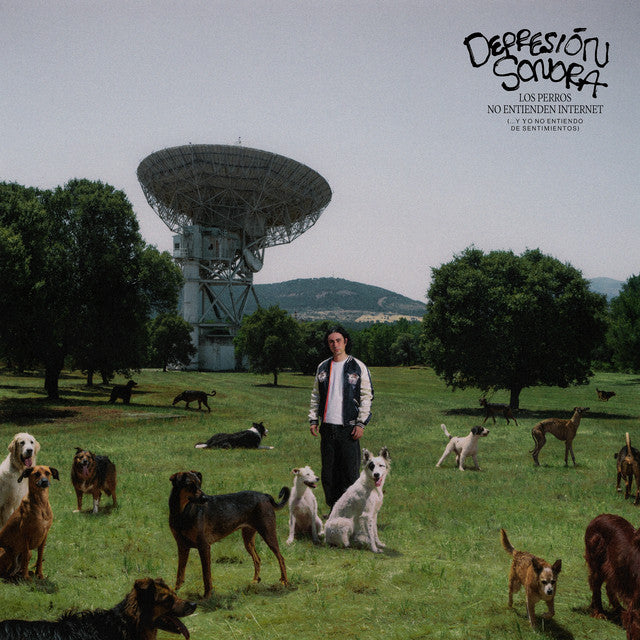 Depresión Sonora – Los Perros No Entienden Internet (... Y Yo No Entiendo De Sentimientos) AZUL (Vinyl).