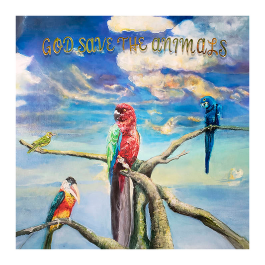 Alex G - God Save The Animals (Vinyl)
