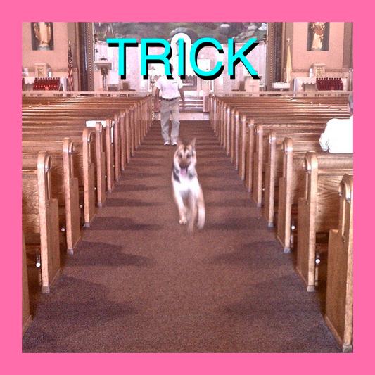 Alex G - Trick (Vinyl)