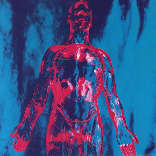 Nirvana – Sliver b/w Dive 7 inches (Vinyl)