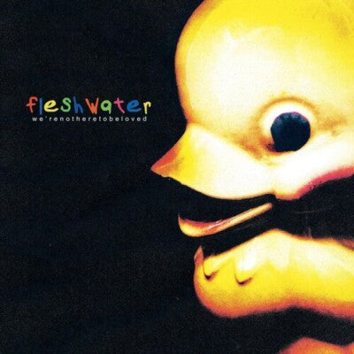 Fleshwater – We’re Not Here To Be Love (Vinyl)
